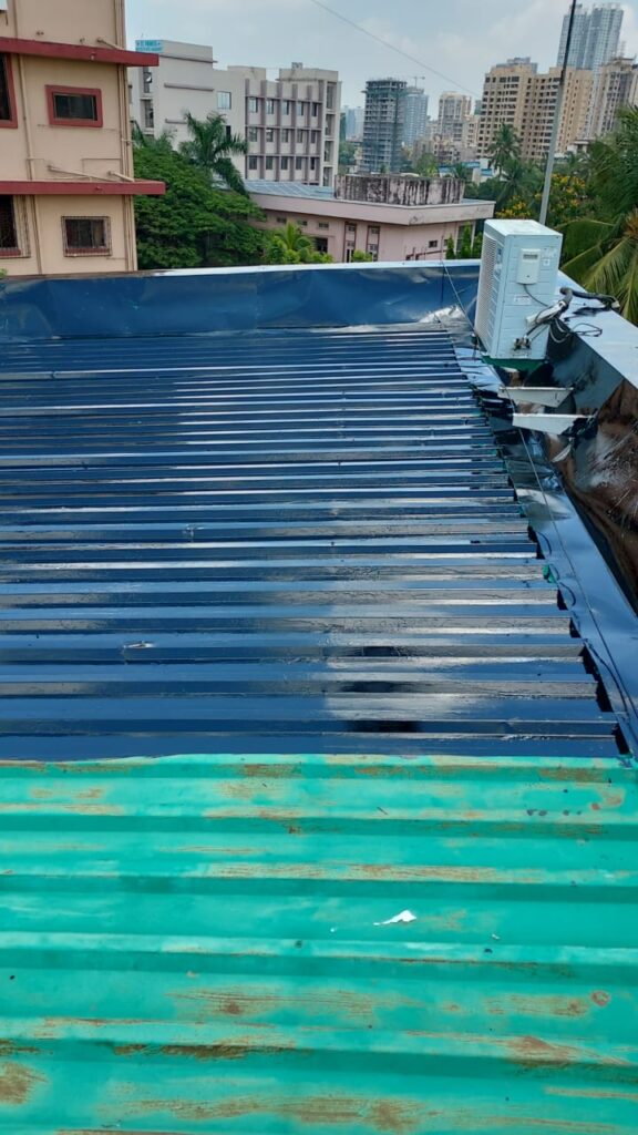 whatsapp image 2025 11 12 at 2.01.14 pm